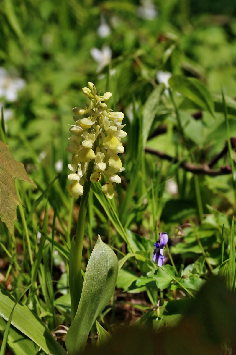 RNA_2017_04_24_0227p_Bildgr��e �ndern