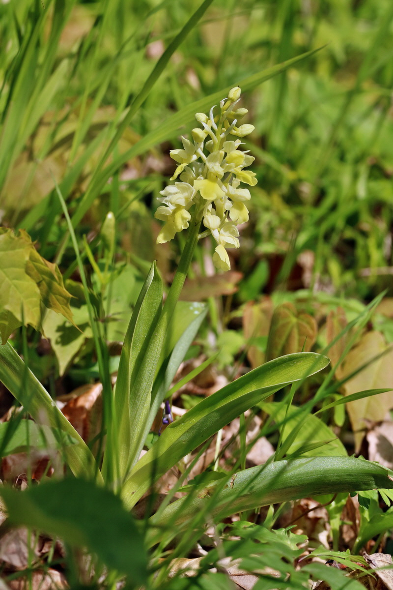 RNA_2017_04_24_0229p_Bildgr��e �ndern