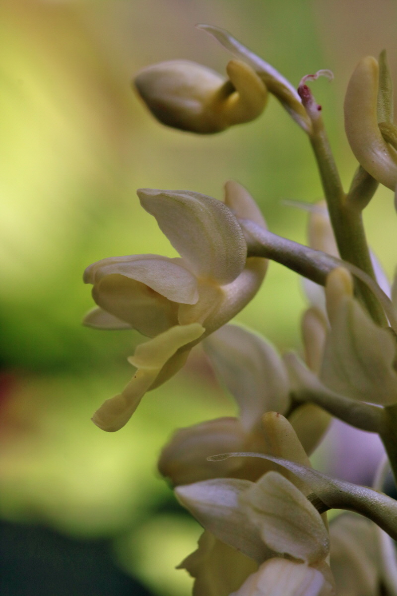 RNA_2017_04_24_0233p_Bildgr��e �ndern