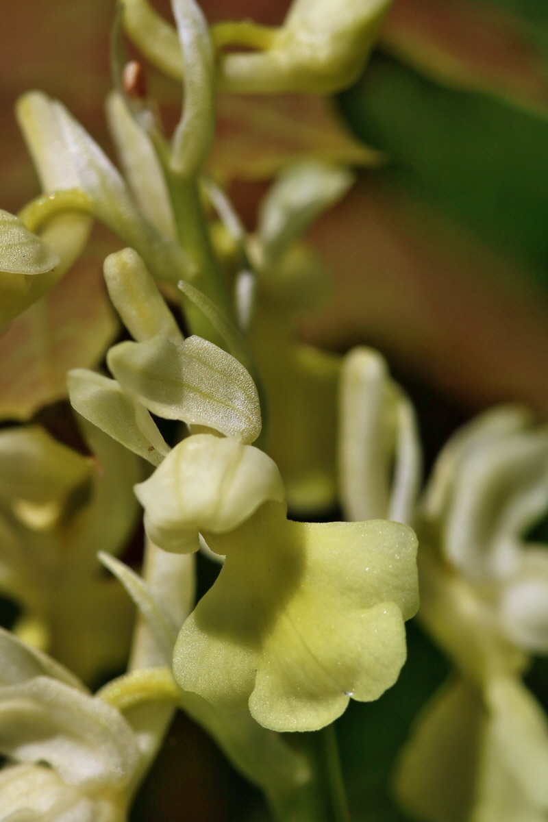 RNA_2017_04_24_0235p_Bildgr��e �ndern