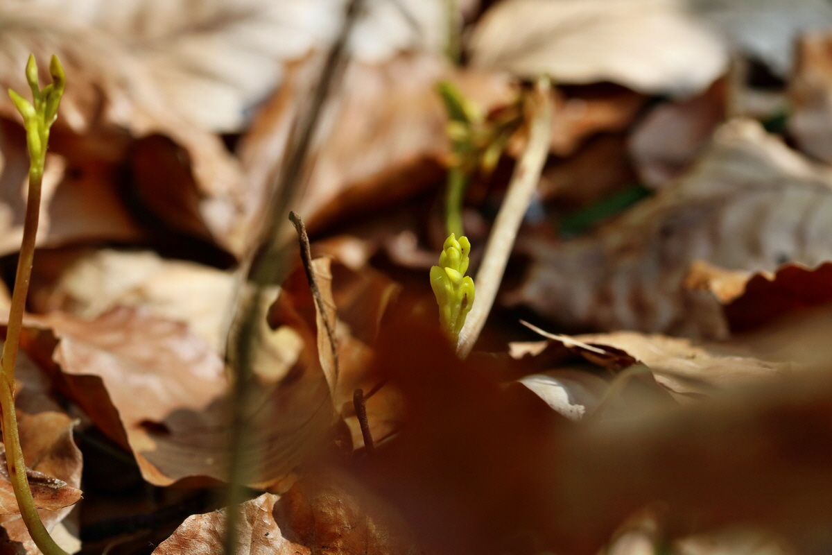 RNA_2017_04_24_0259p_Bildgr��e �ndern