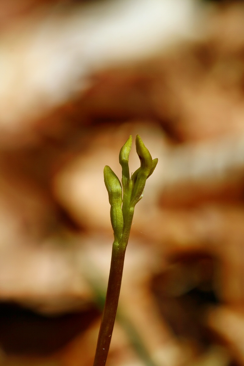 RNA_2017_04_24_0261p_Bildgr��e �ndern