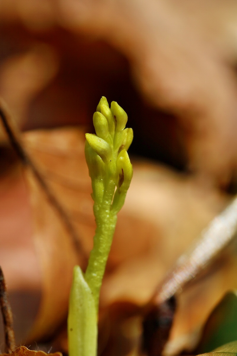 RNA_2017_04_24_0265p_Bildgr��e �ndern