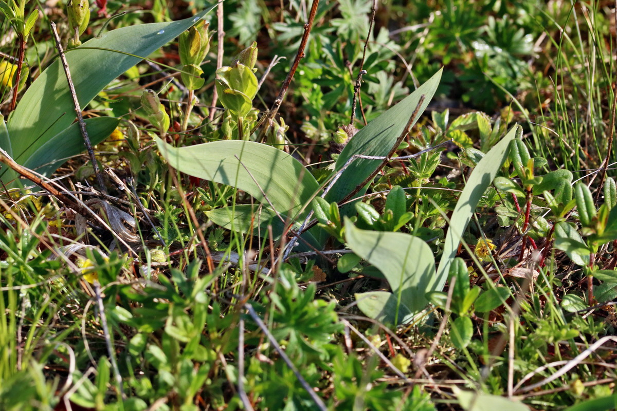 RNA_2017_04_26_0286p_Bildgr��e �ndern