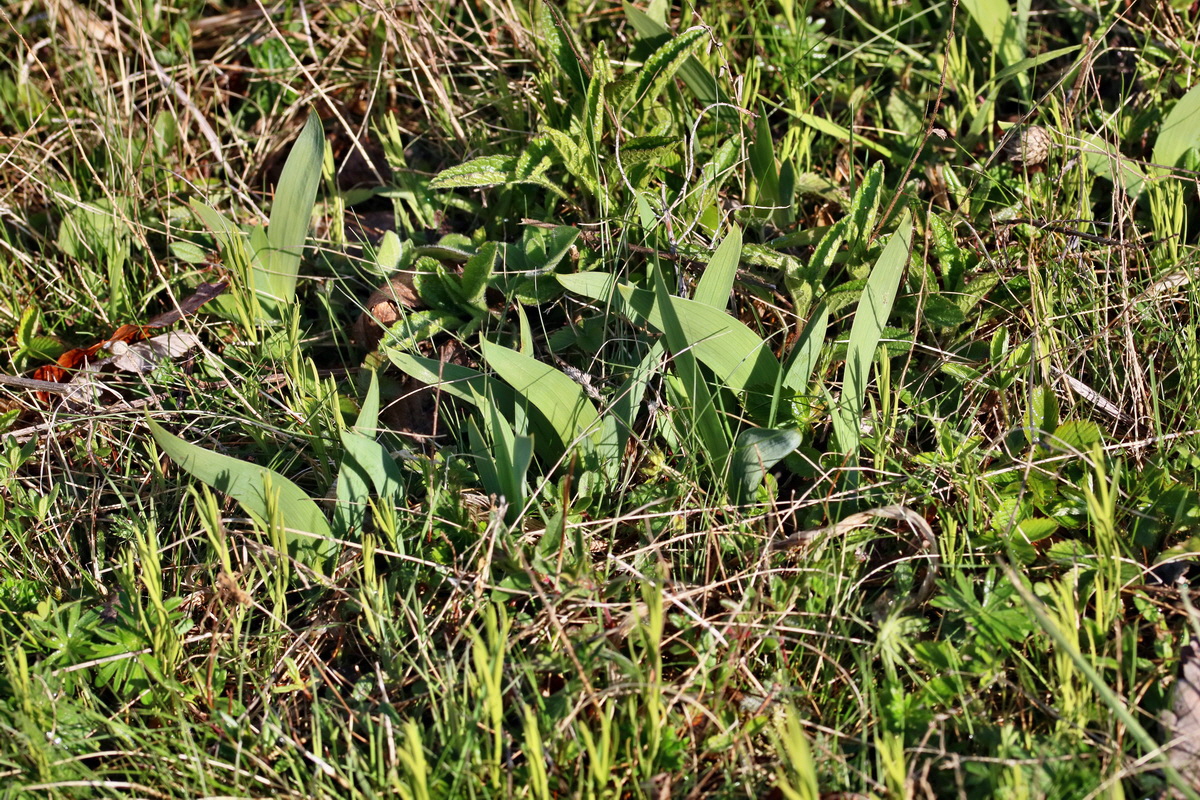 RNA_2017_04_26_0289p_Bildgr��e �ndern