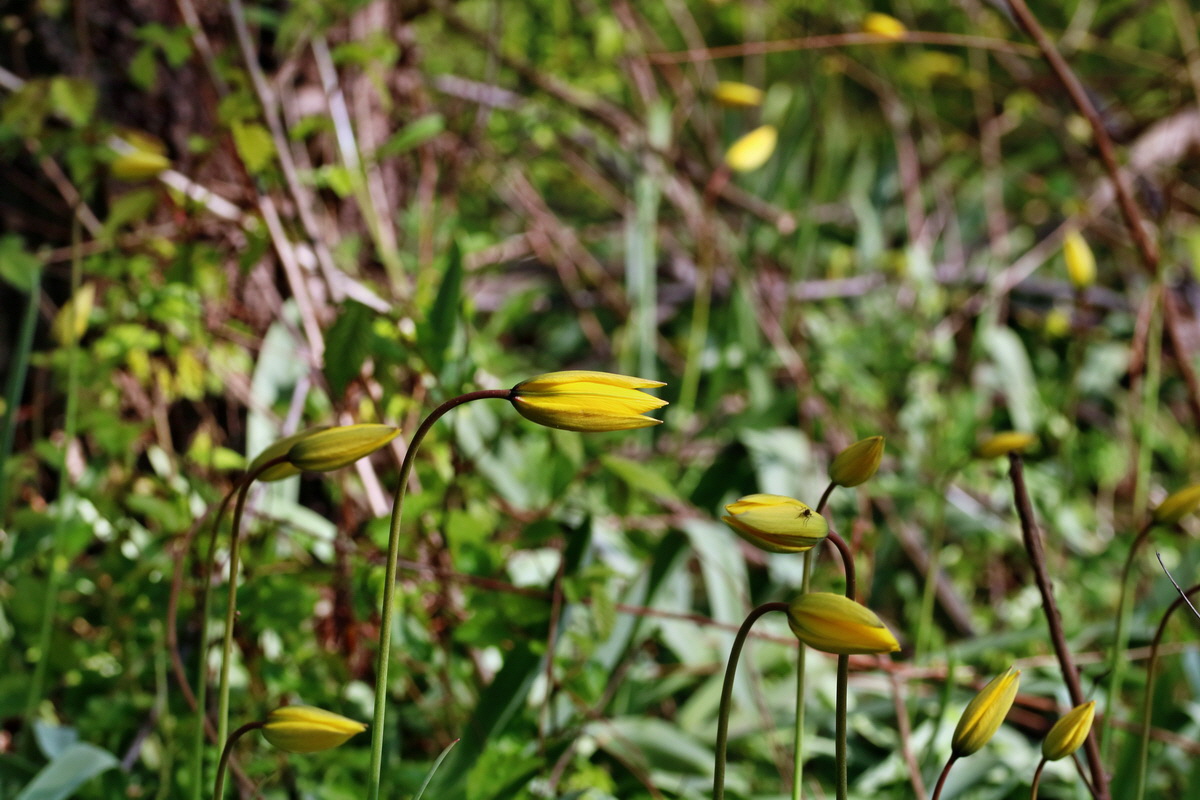 RNA_2017_04_26_0298p_Bildgr��e �ndern