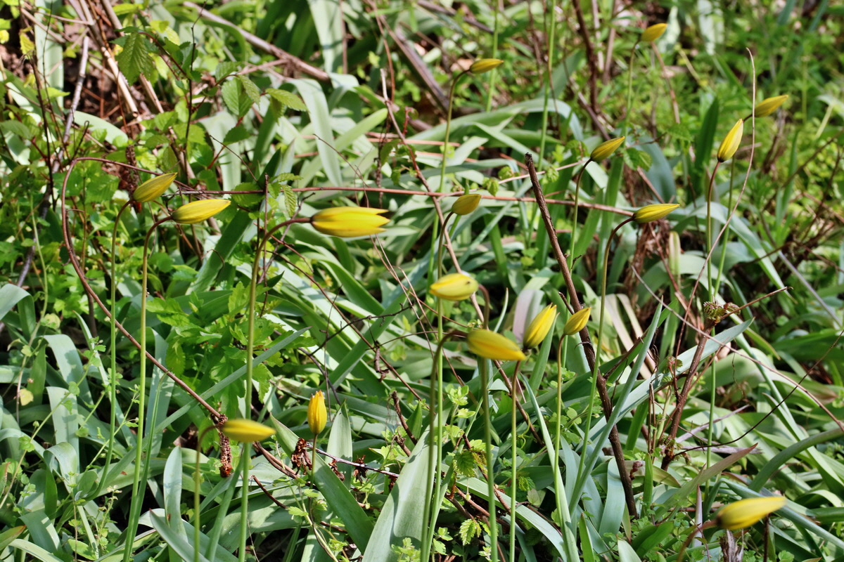 RNA_2017_04_26_0302p_Bildgr��e �ndern