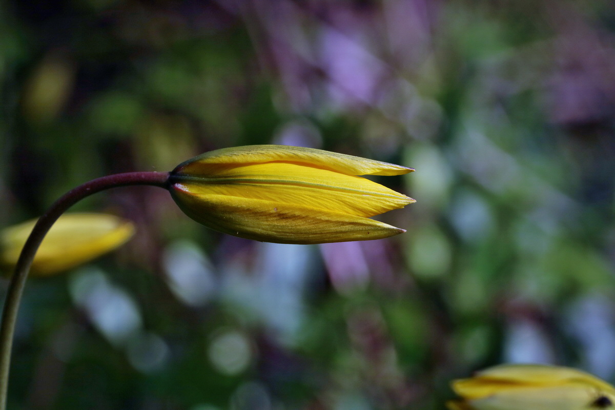 RNA_2017_04_26_0306p_Bildgr��e �ndern