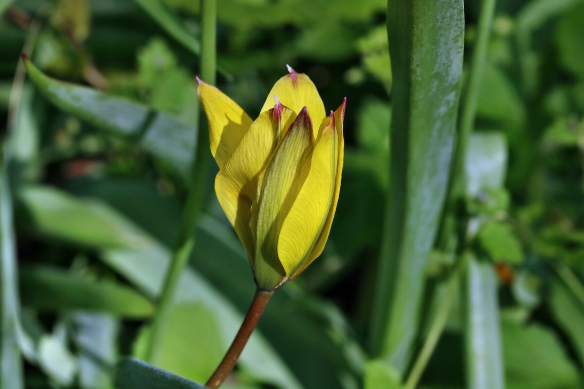 RNA_2017_04_26_0309p_Bildgr��e �ndern