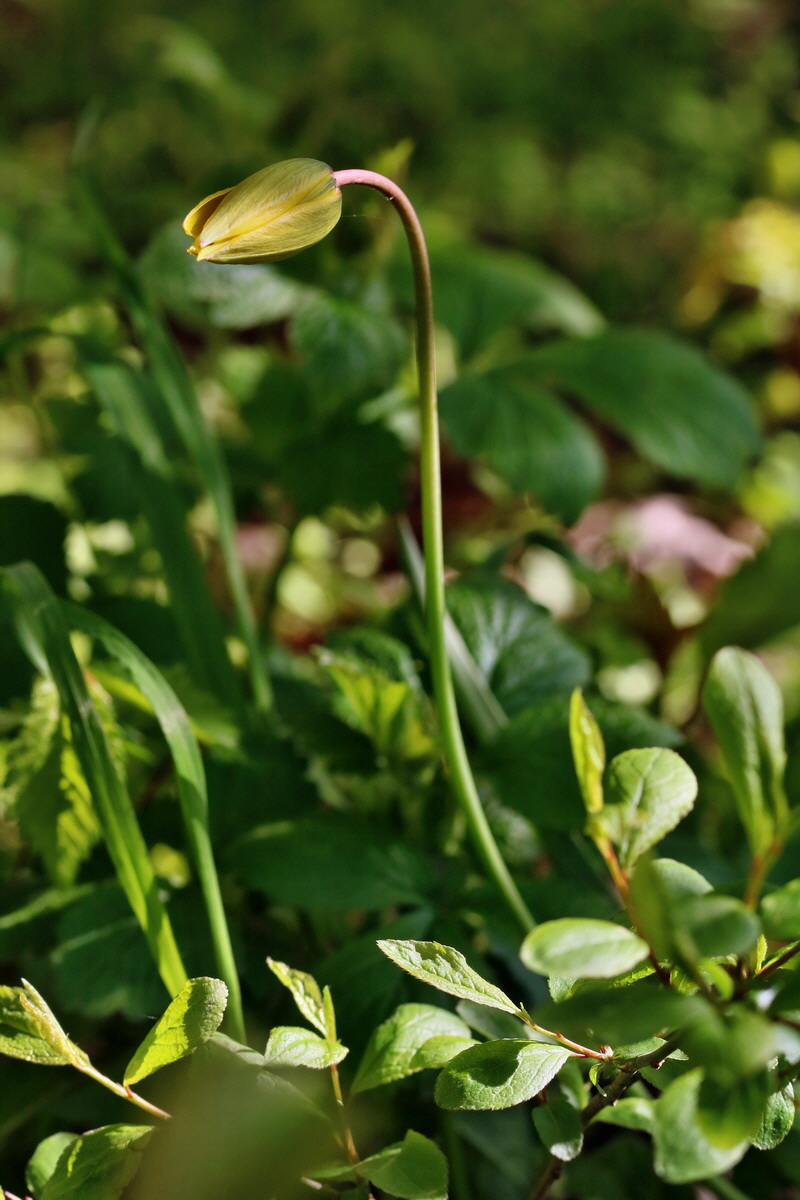 RNA_2017_04_26_0314p_Bildgr��e �ndern