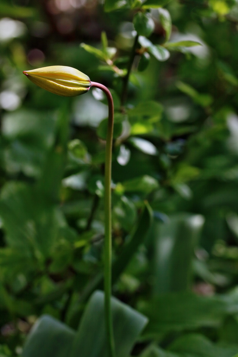 RNA_2017_04_26_0319p_Bildgr��e �ndern