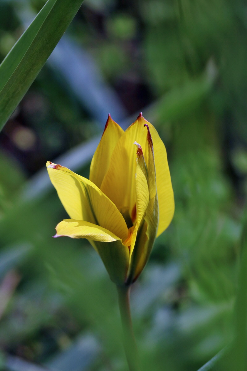 RNA_2017_04_26_0326p_Bildgr��e �ndern