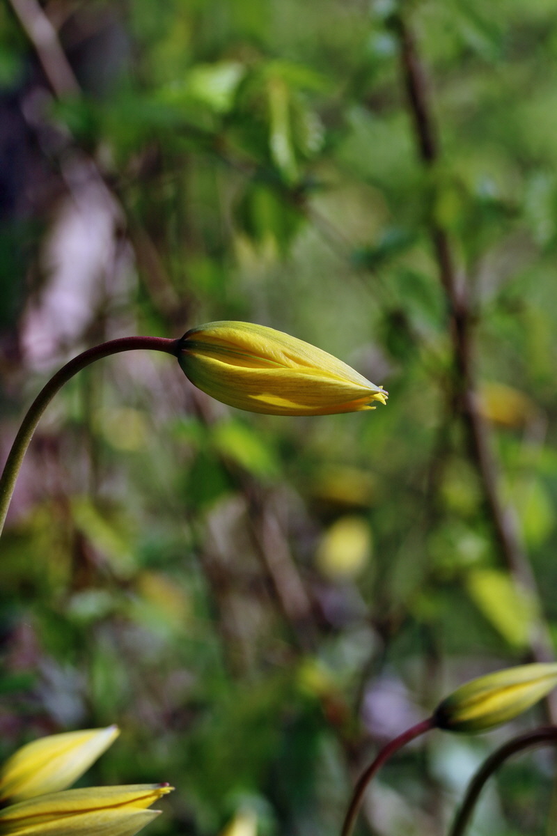 RNA_2017_04_26_0329p_Bildgr��e �ndern