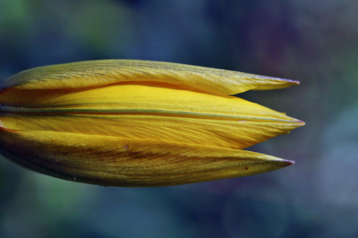 RNA_2017_04_26_0334p_Bildgr��e �ndern