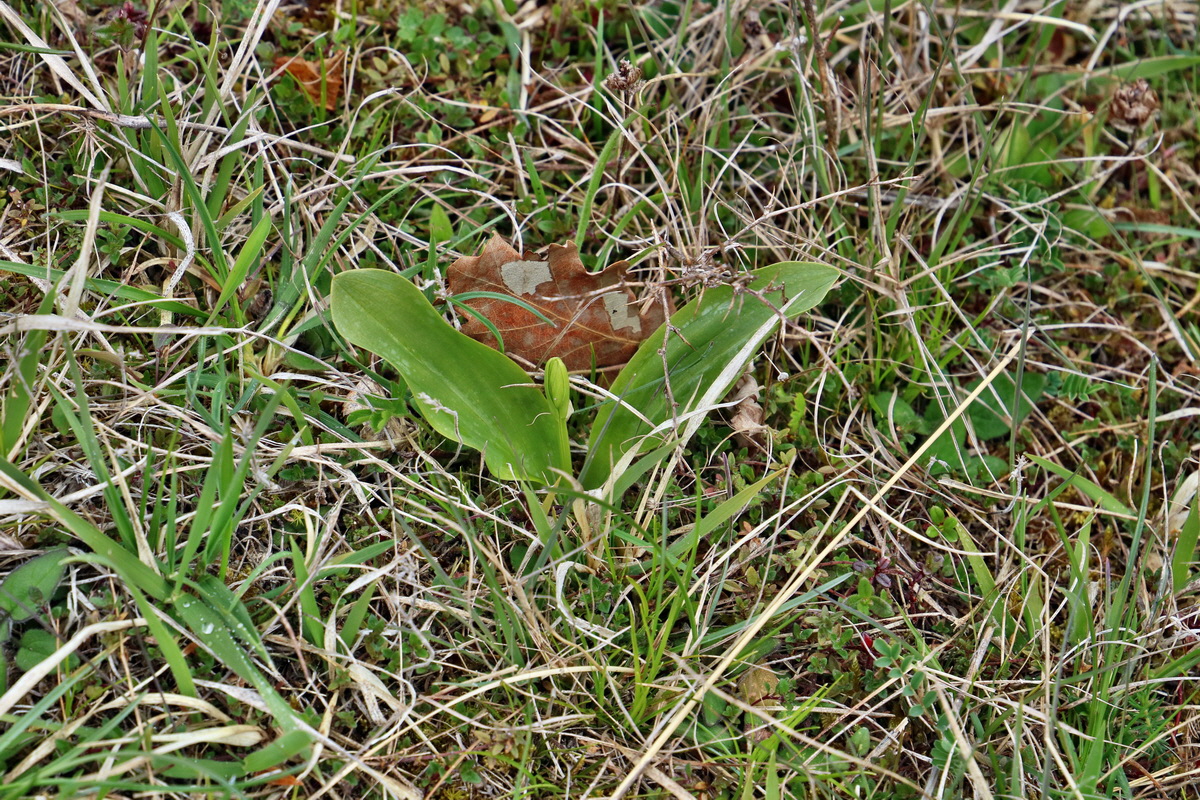 RNA_2017_04_27_0343p_Bildgr��e �ndern