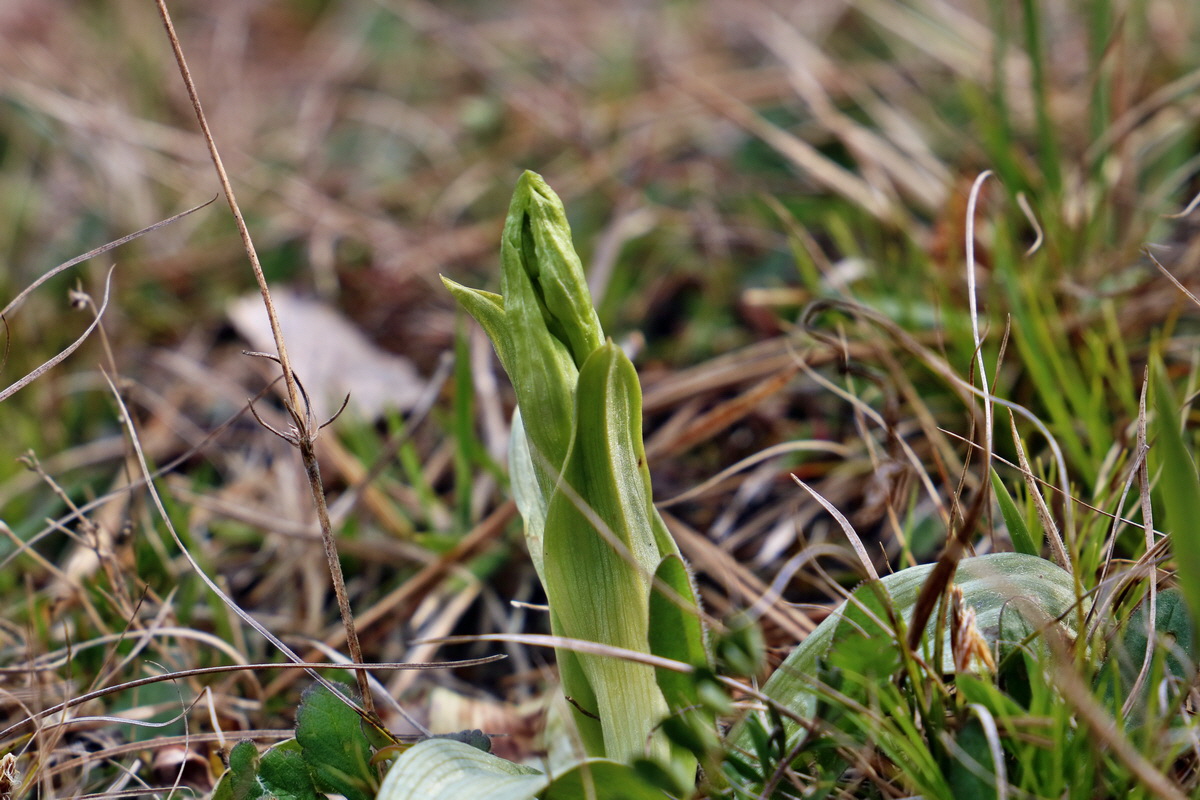 RNA_2017_04_27_0352p_Bildgr��e �ndern