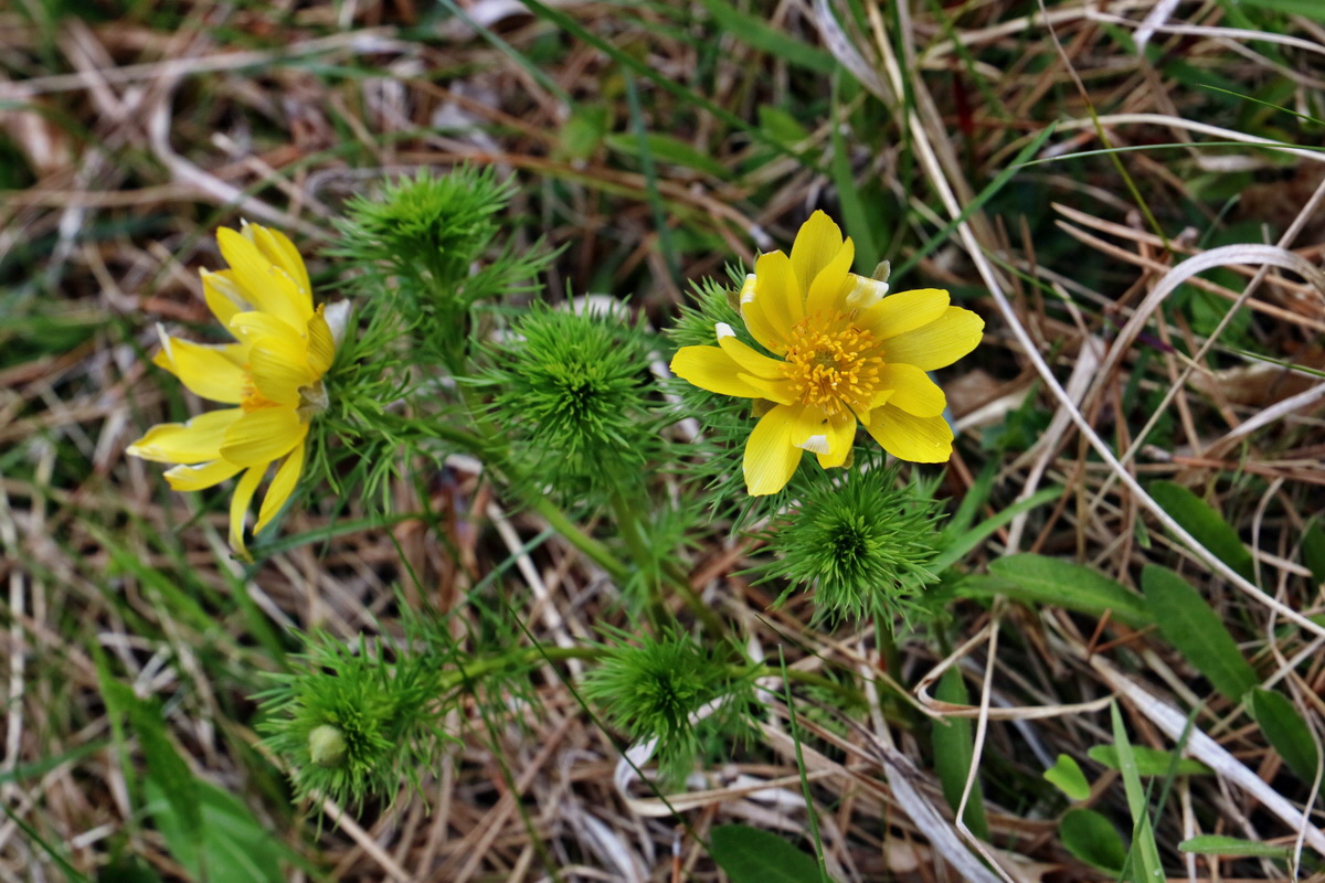 RNA_2017_04_27_0356p_Bildgr��e �ndern