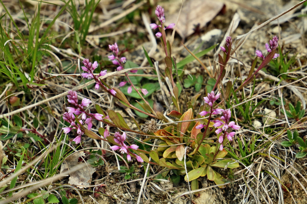 RNA_2017_04_27_0364p_Bildgr��e �ndern