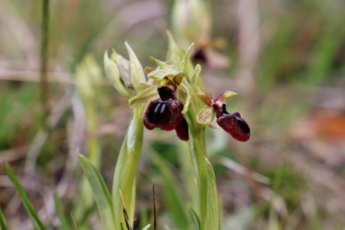 RNA_2017_04_27_0370p_Bildgr��e �ndern