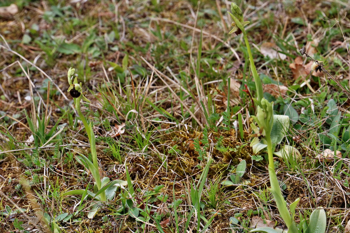 RNA_2017_04_27_0379p_Bildgr��e �ndern