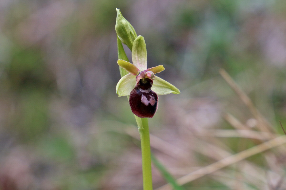 RNA_2017_04_27_0381p_Bildgr��e �ndern