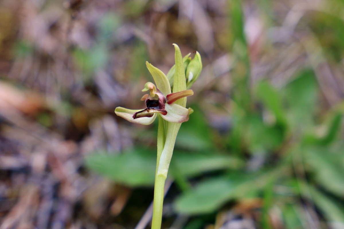 RNA_2017_04_27_0388p_Bildgr��e �ndern