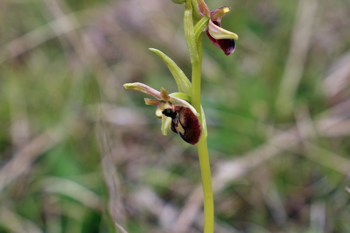 RNA_2017_04_27_0395p_Bildgr��e �ndern