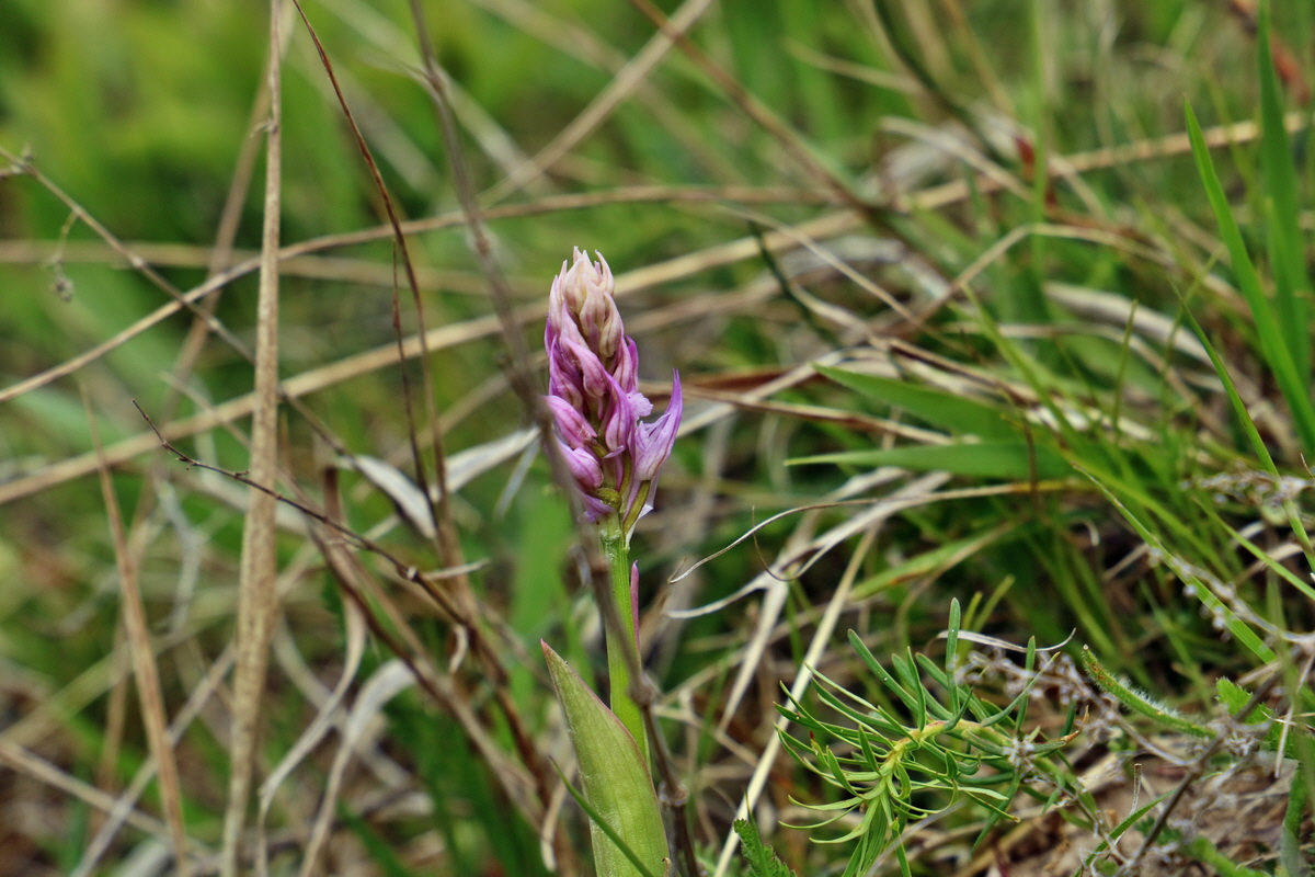 RNA_2017_04_27_0400p_Bildgr��e �ndern