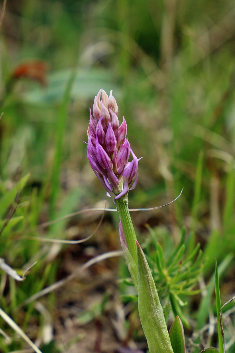 RNA_2017_04_27_0404p_Bildgr��e �ndern