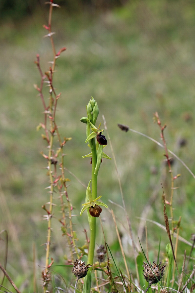 RNA_2017_04_27_0418p_Bildgr��e �ndern