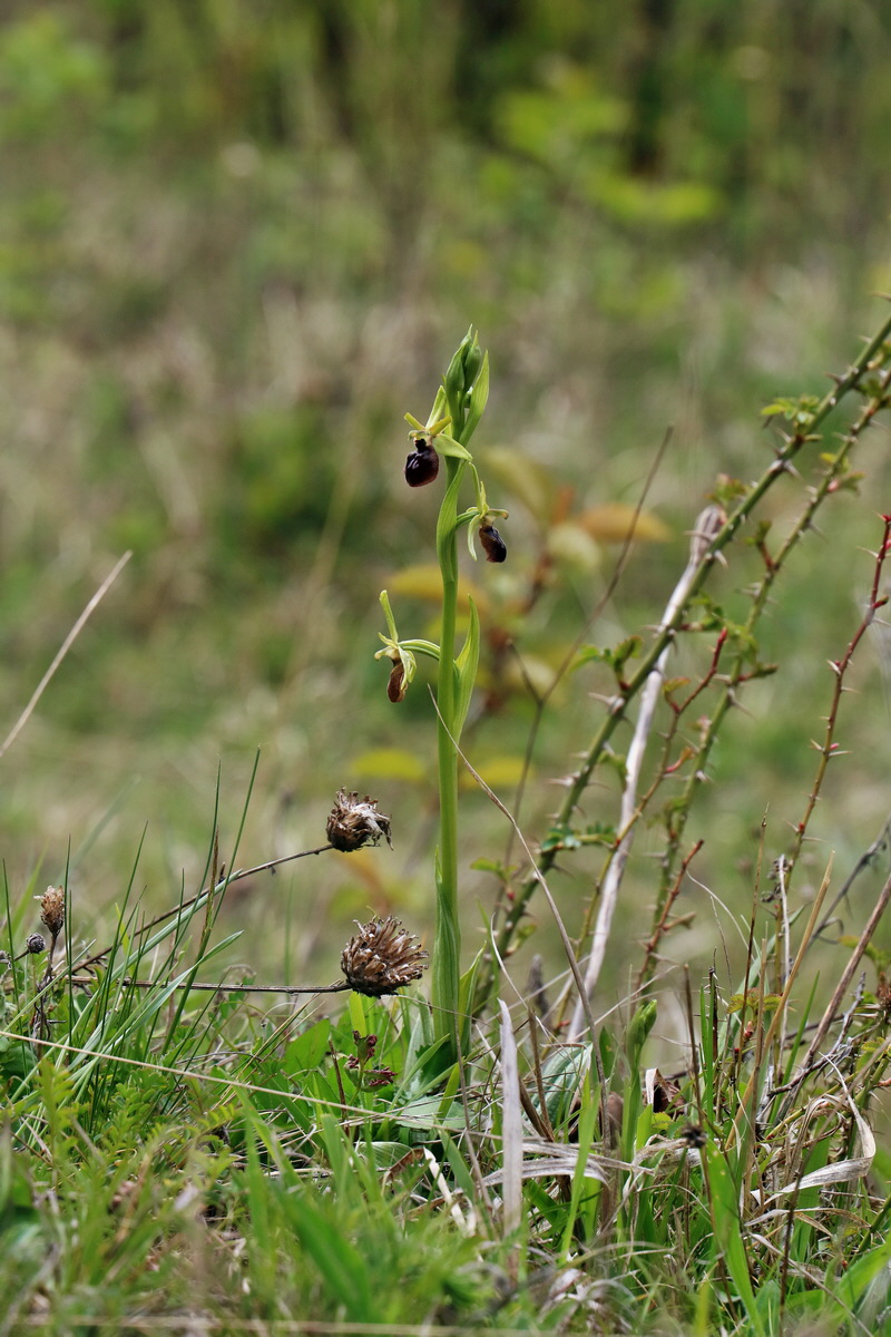 RNA_2017_04_27_0423p_Bildgr��e �ndern