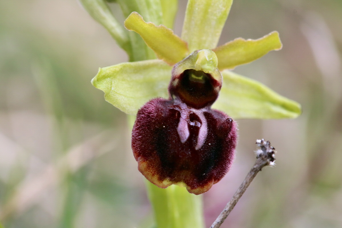 RNA_2017_04_27_0426p_Bildgr��e �ndern