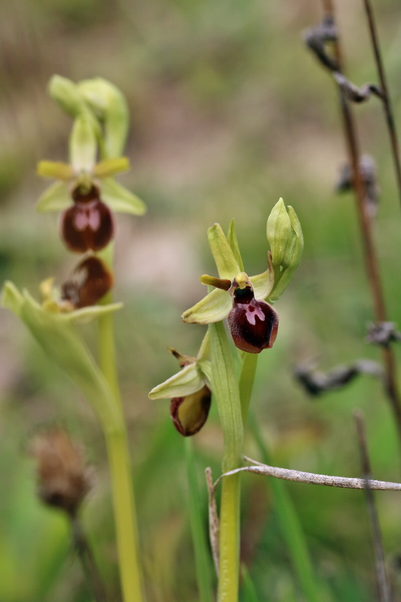 RNA_2017_04_27_0552p_Bildgr��e �ndern