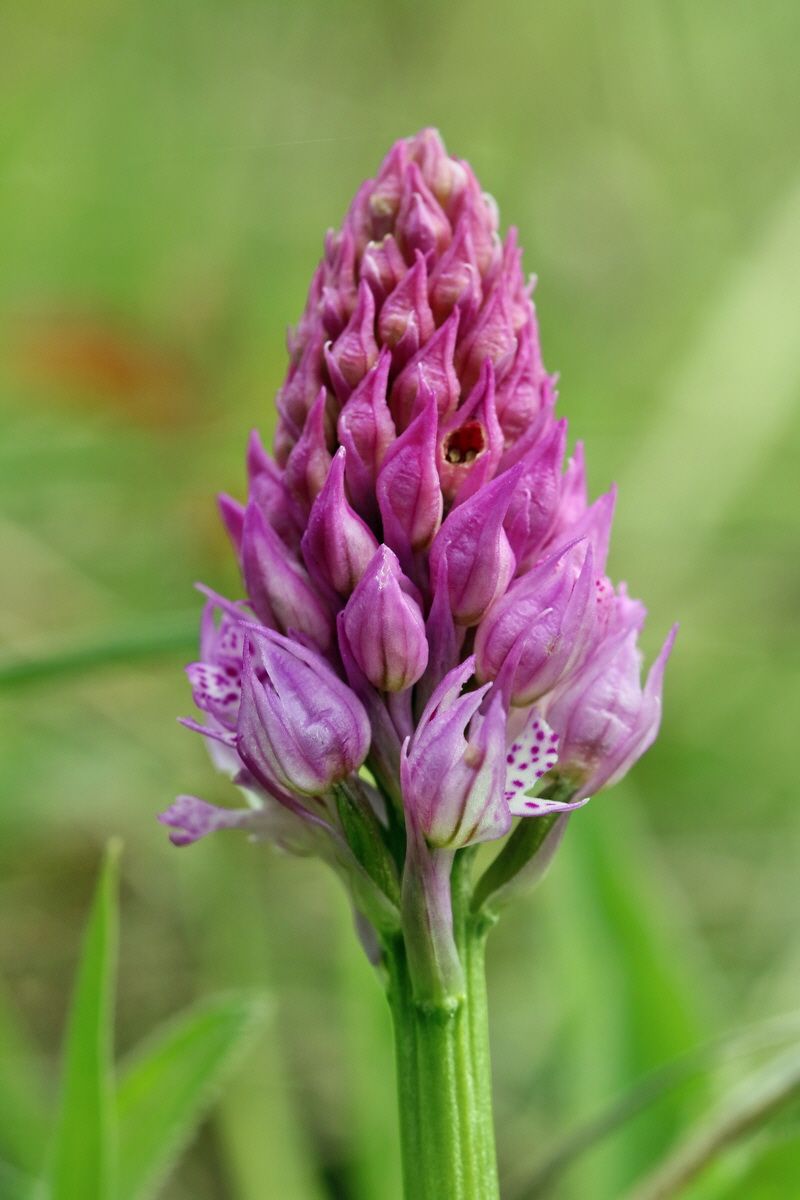 RNA_2017_04_27_0571p_Bildgr��e �ndern