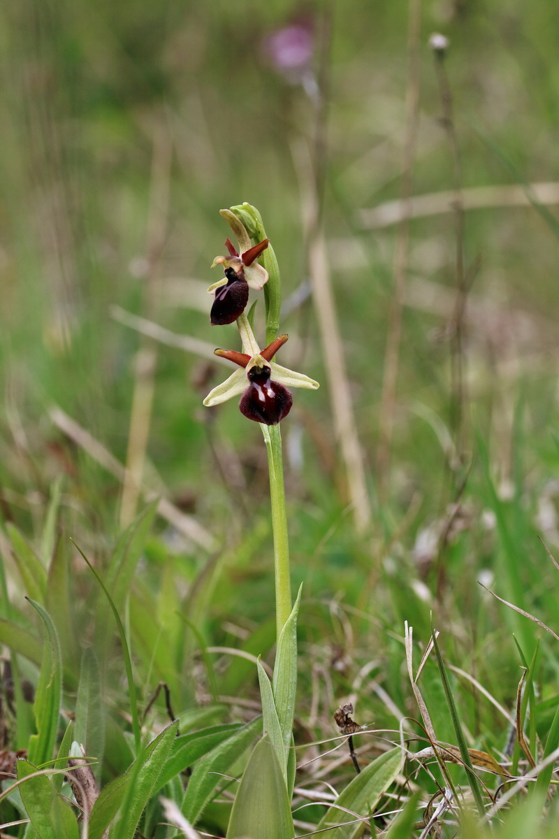 RNA_2017_04_27_0574p_Bildgr��e �ndern