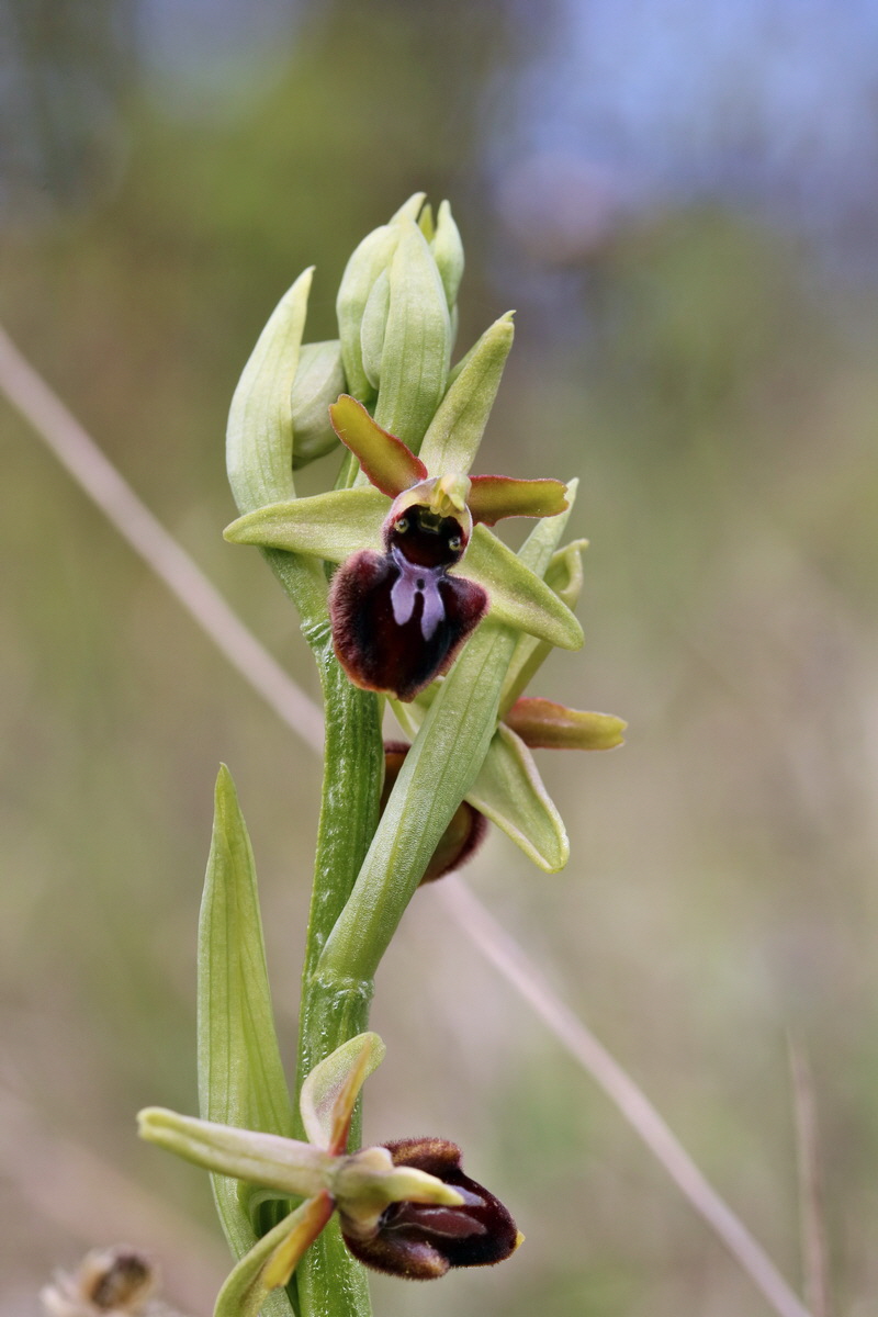 RNA_2017_04_27_0579p_Bildgr��e �ndern