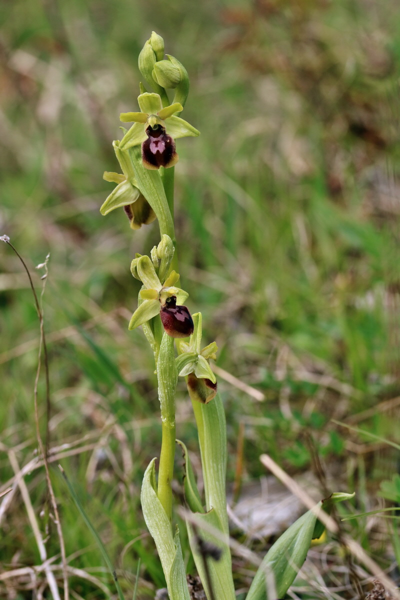 RNA_2017_04_27_0583p_Bildgr��e �ndern