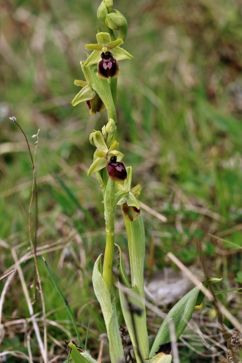 RNA_2017_04_27_0585p_Bildgr��e �ndern