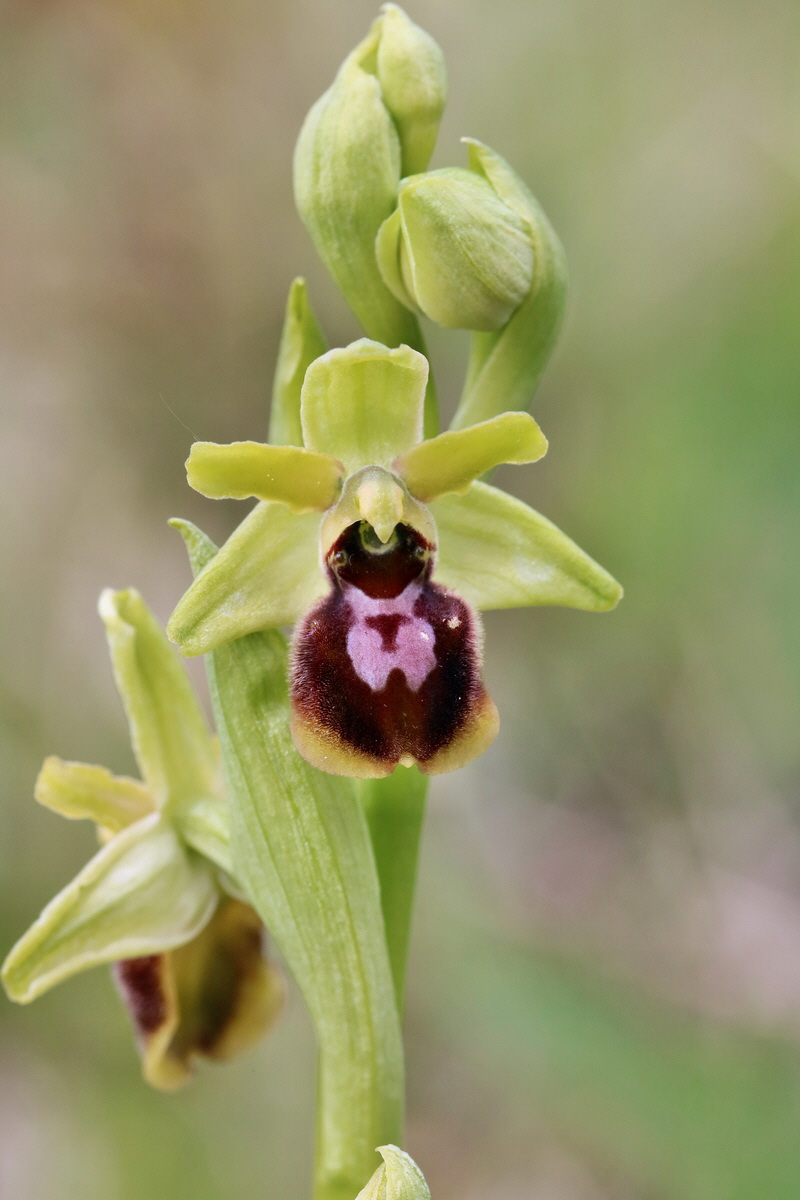 RNA_2017_04_27_0587p_Bildgr��e �ndern