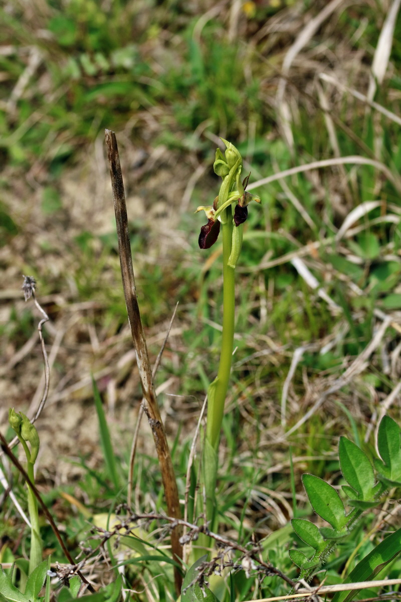 RNA_2017_04_27_0599p_Bildgr��e �ndern