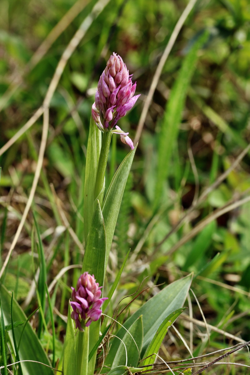 RNA_2017_04_27_0606p_Bildgr��e �ndern