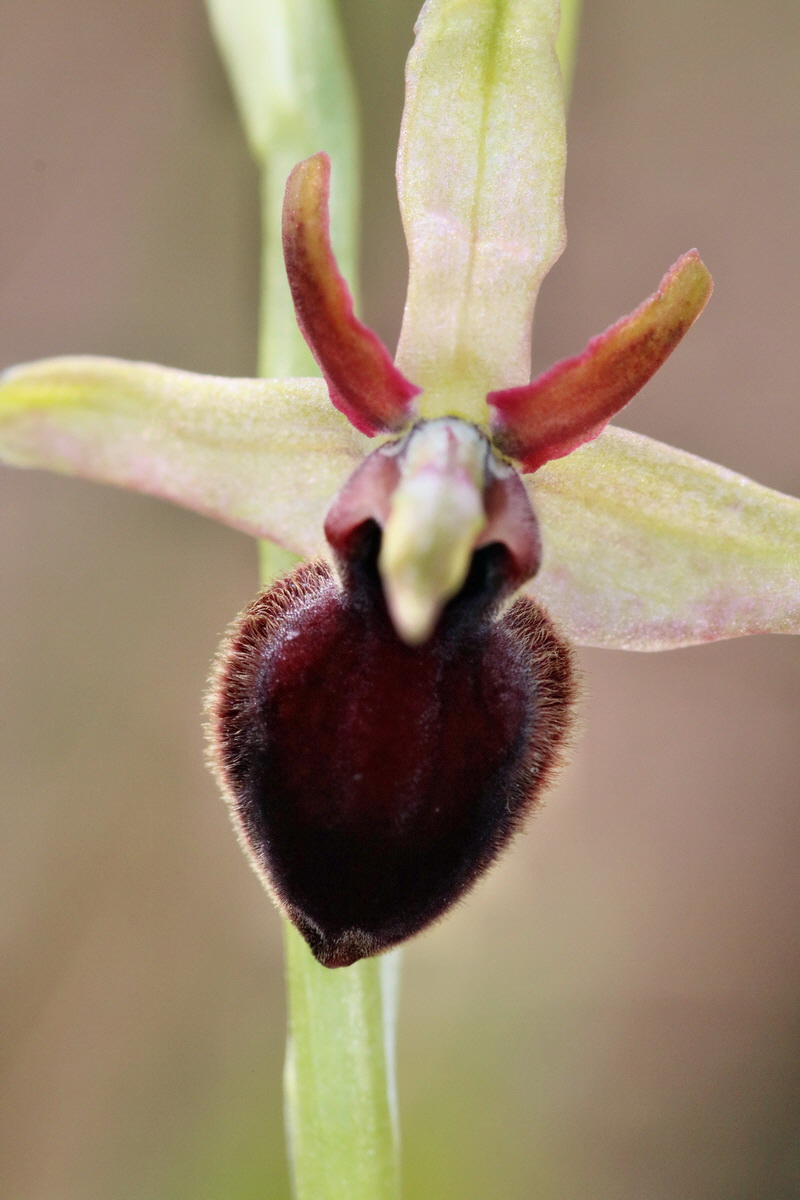 RNA_2017_04_27_0608p_Bildgr��e �ndern