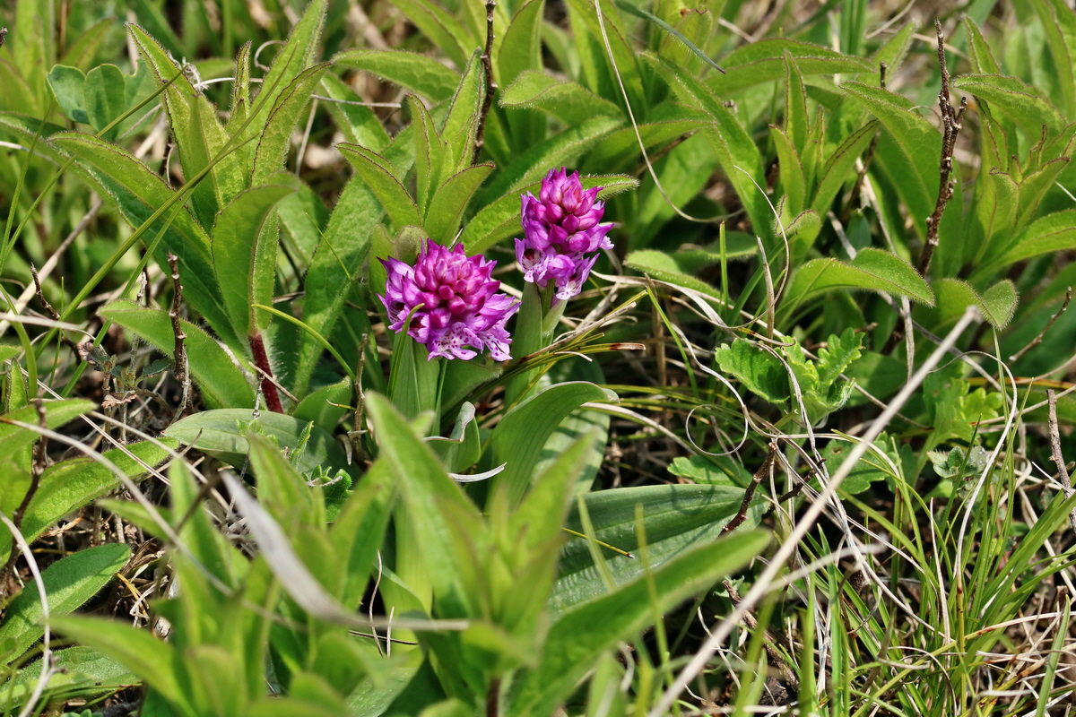 RNA_2017_04_27_0619p_Bildgr��e �ndern