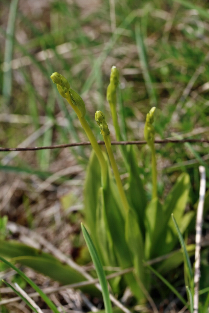 RNA_2017_04_27_0666p_Bildgr��e �ndern