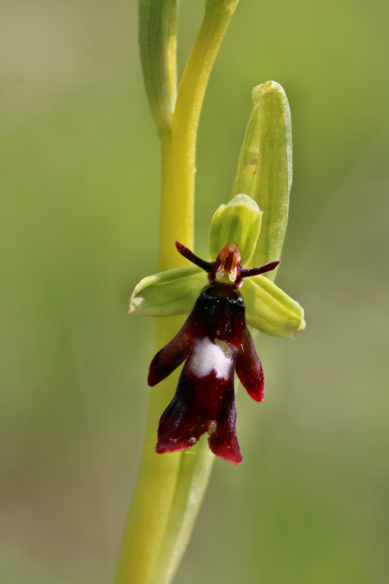 RNA_2017_04_27_0685p_Bildgr��e �ndern