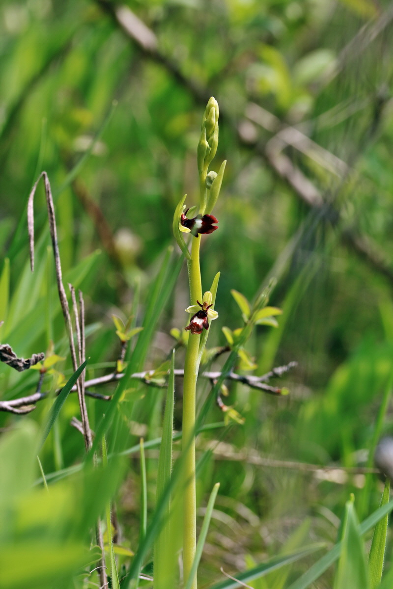 RNA_2017_04_27_0693p_Bildgr��e �ndern