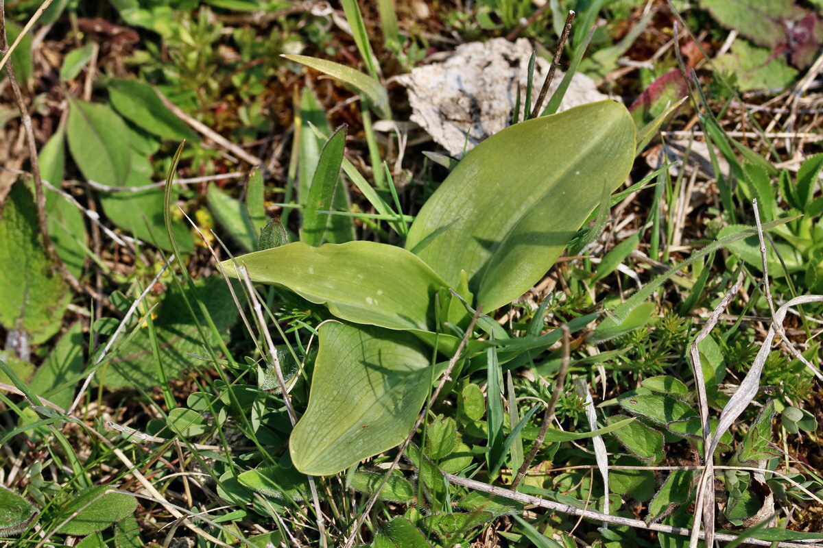 RNA_2017_04_27_0702p_Bildgr��e �ndern