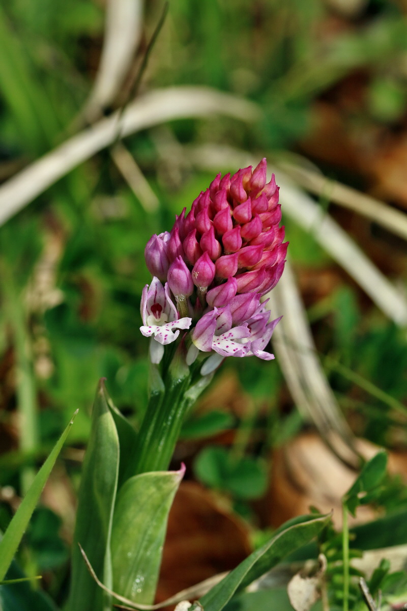 RNA_2017_04_27_0713p_Bildgr��e �ndern