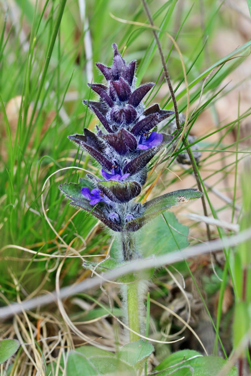 RNA_2017_04_27_0759p_Bildgr��e �ndern