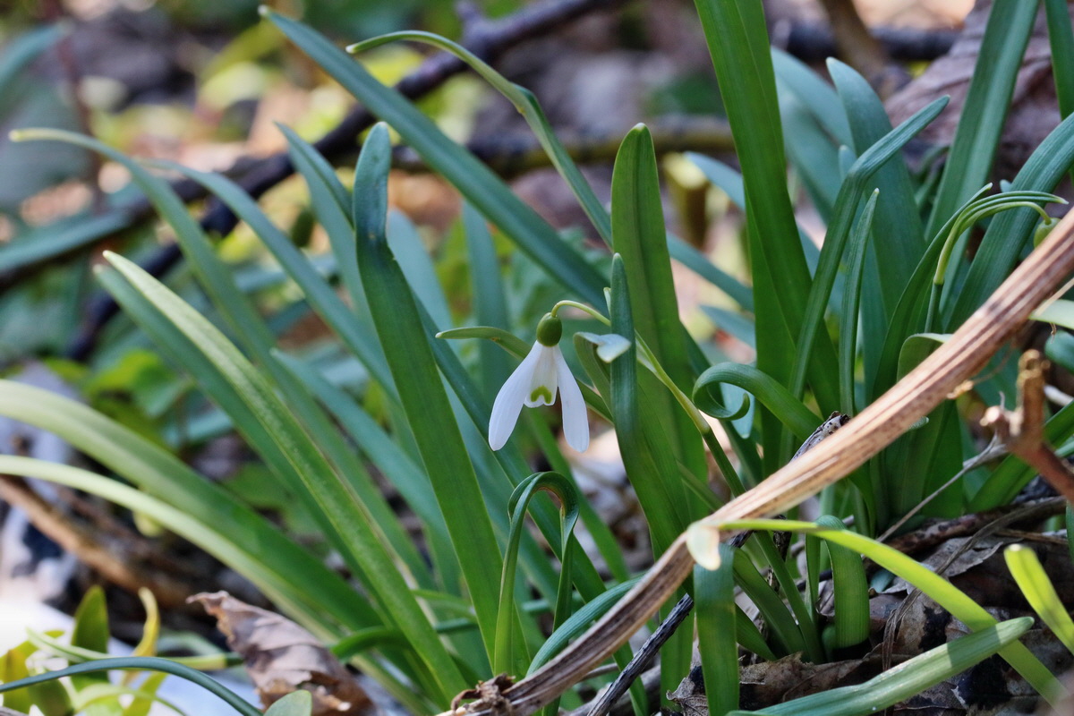 RNA_2017_04_30_0772p_Bildgr��e �ndern